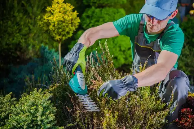 landscaping services New Albany